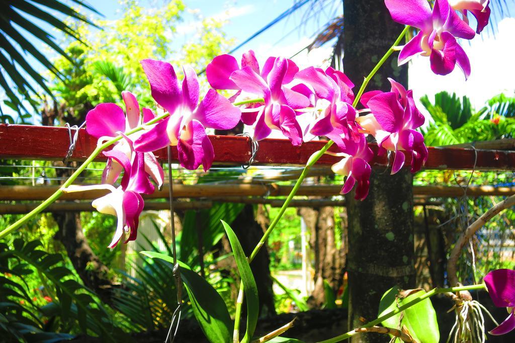 Kampot Guesthouse Ngoại thất bức ảnh